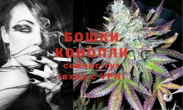 трава Пересвет