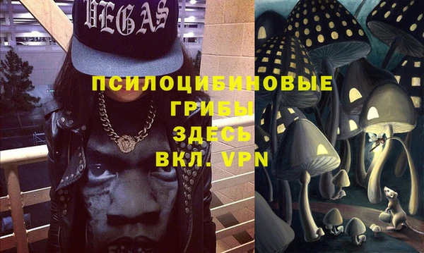 трава Пересвет
