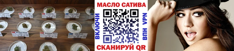 где купить наркотик  Новороссийск  mega онион  ТГК жижа 