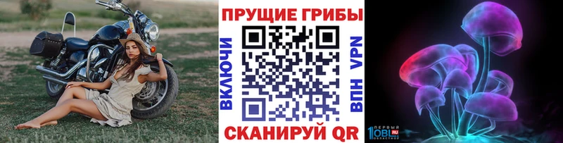 ссылка на мегу ссылка  Новороссийск  Галлюциногенные грибы MAGIC MUSHROOMS 