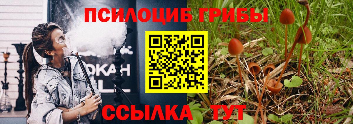 Псилоцибиновые грибы MAGIC MUSHROOMS Новороссийск